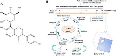 Puerarin Alleviates Depression-Like Behavior Induced by High-Fat Diet Combined With Chronic Unpredictable Mild Stress via Repairing TLR4-Induced Inflammatory Damages and Phospholipid Metabolism Disorders